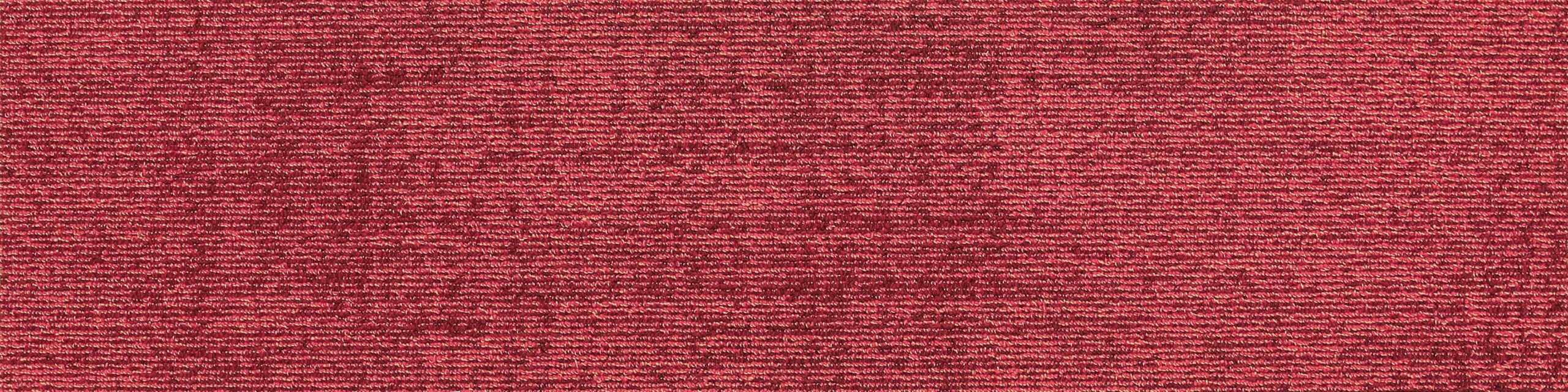 Immerse-13-Blush