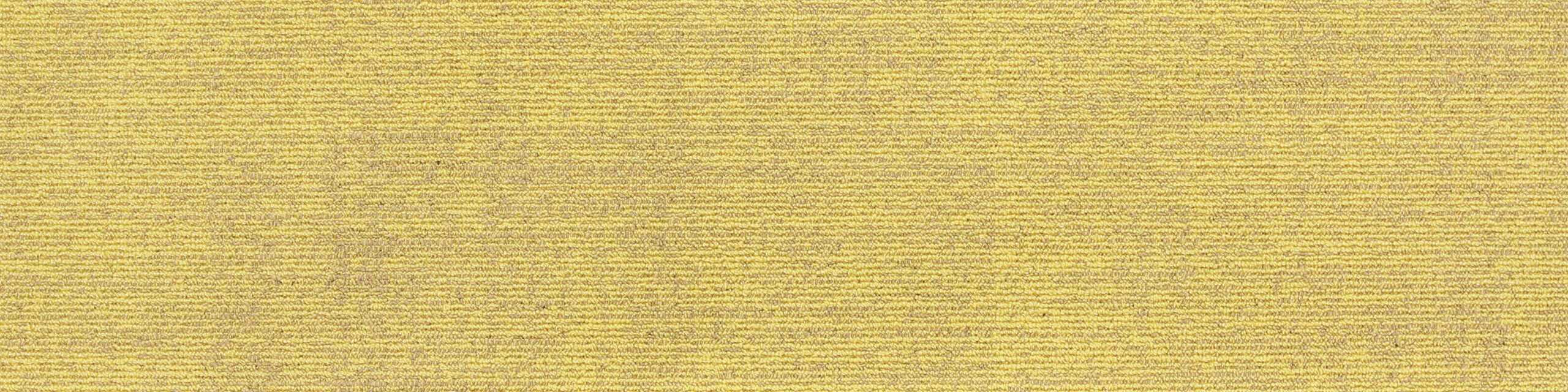 Immerse-15-Mustard