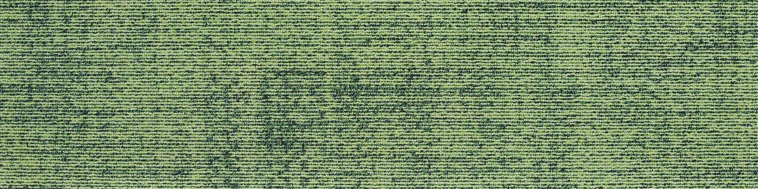 Immerse-16-Moss