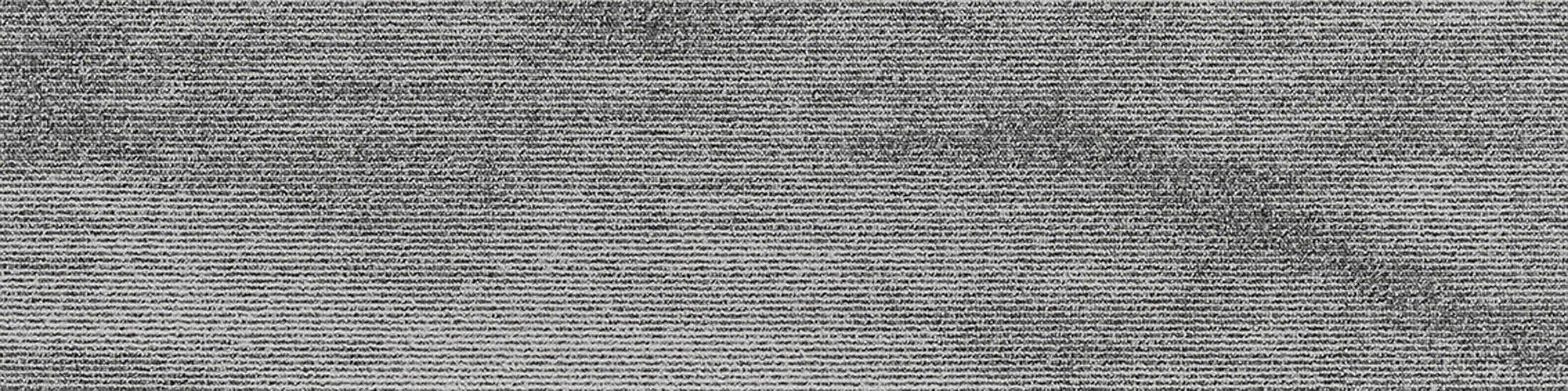 Mist-04-Fossil