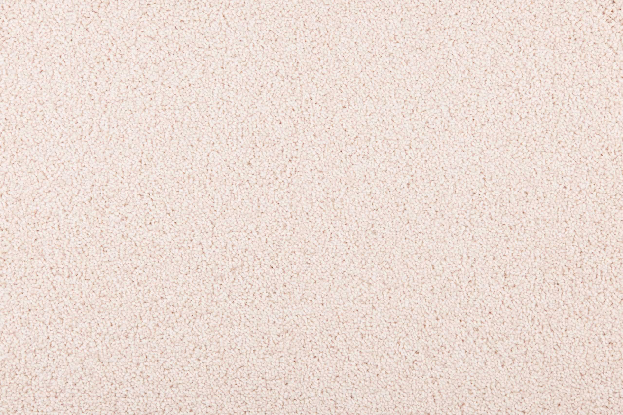 New-Sensations-11-Moonlight-1-scaled