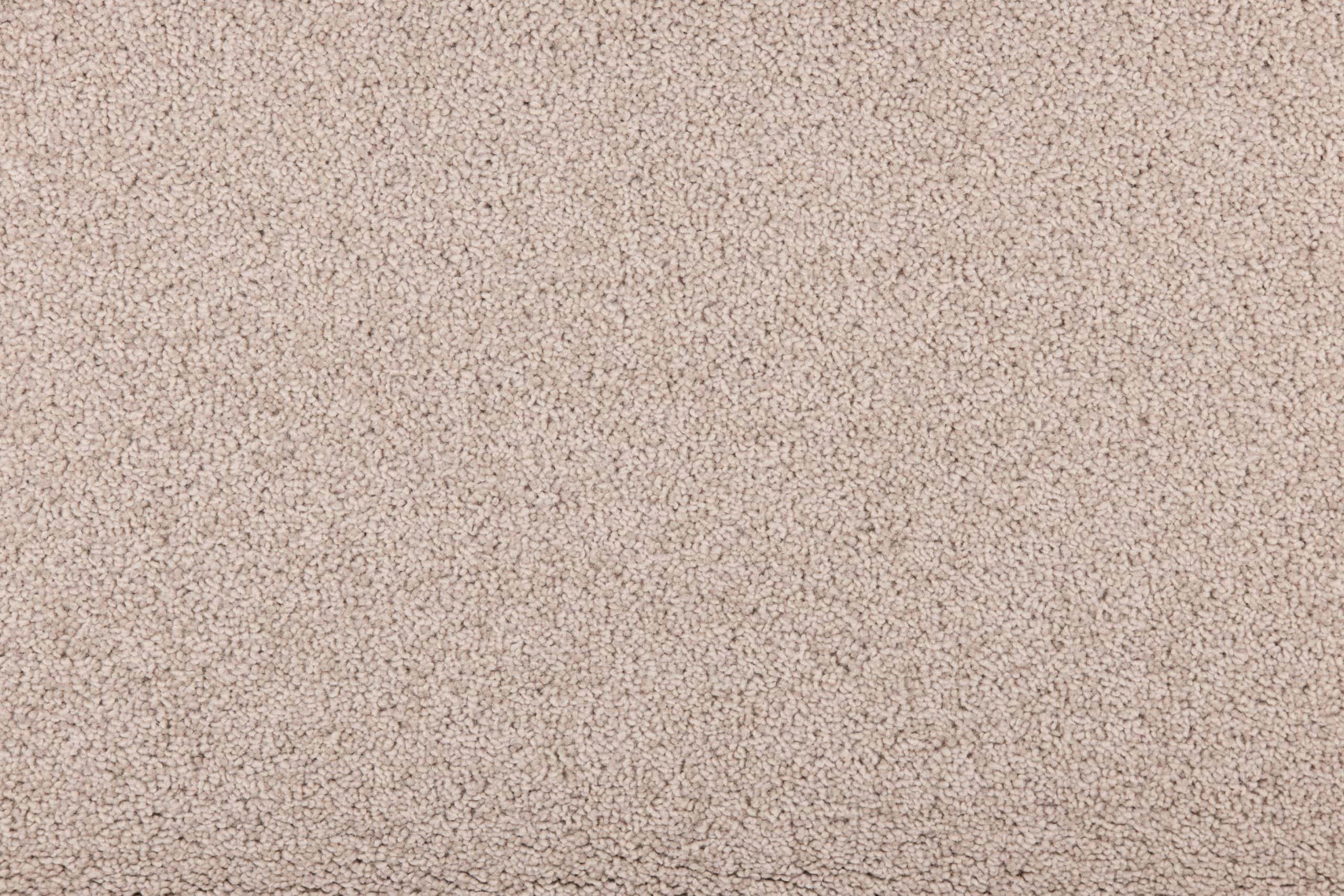 New-Sensations-19-Vivacious-scaled