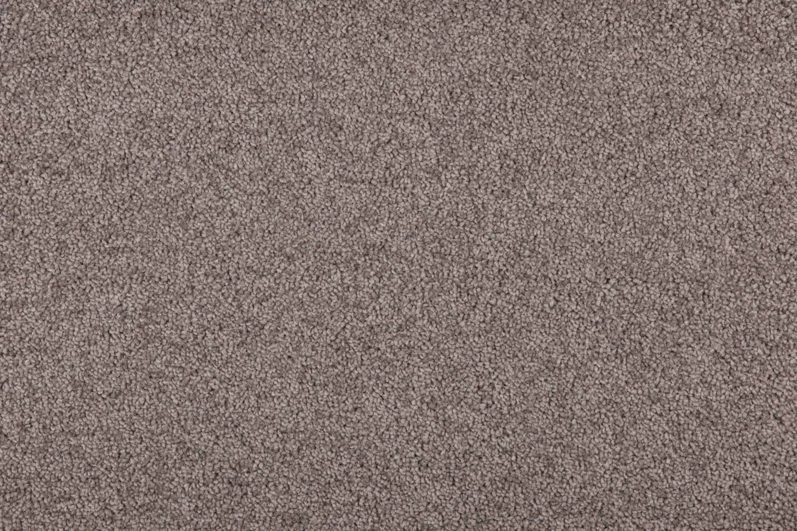 New-Sensations-37-Thrilling-scaled