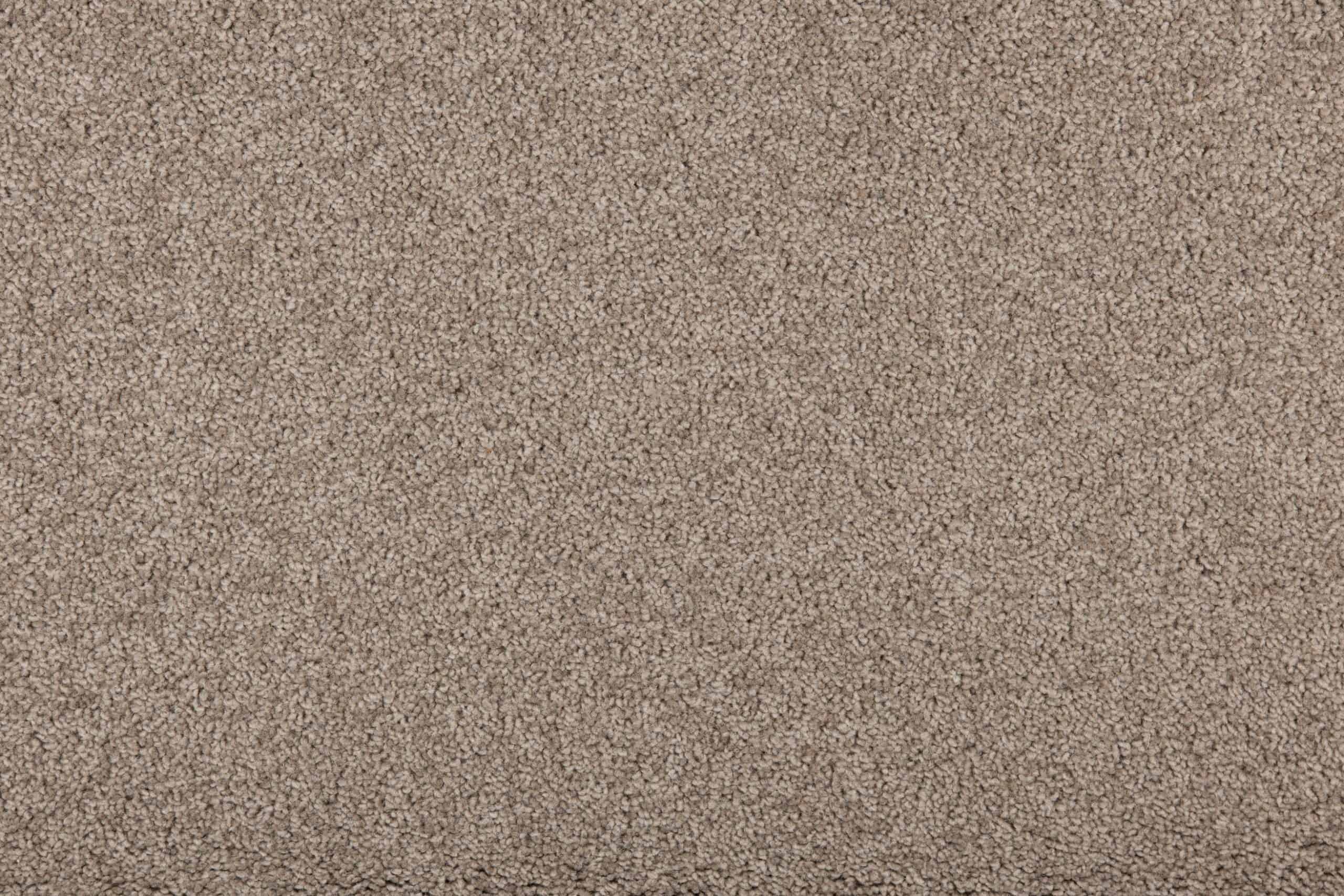 New-Sensations-78-Chocolate-scaled