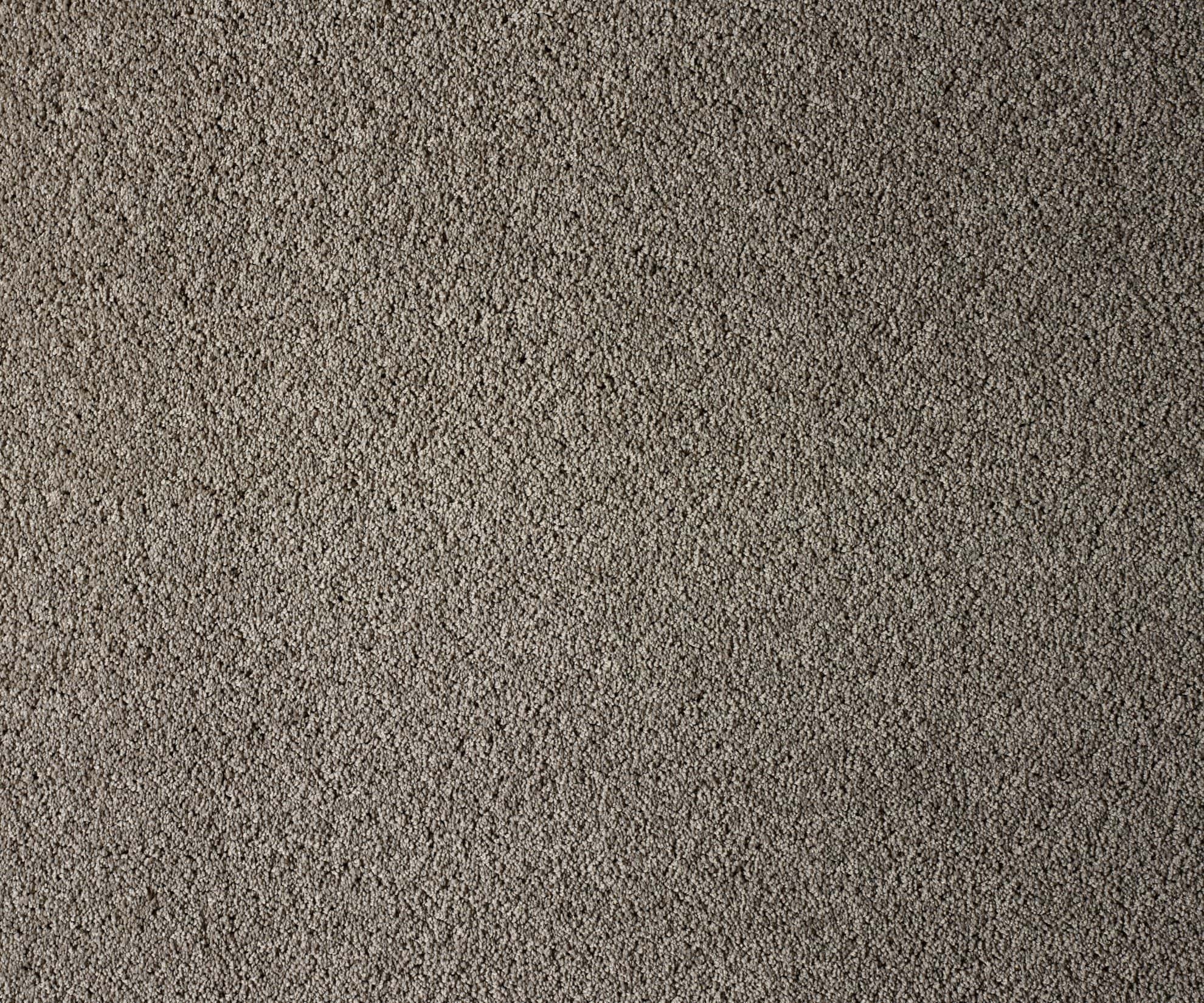 Osborne-25-Tabby