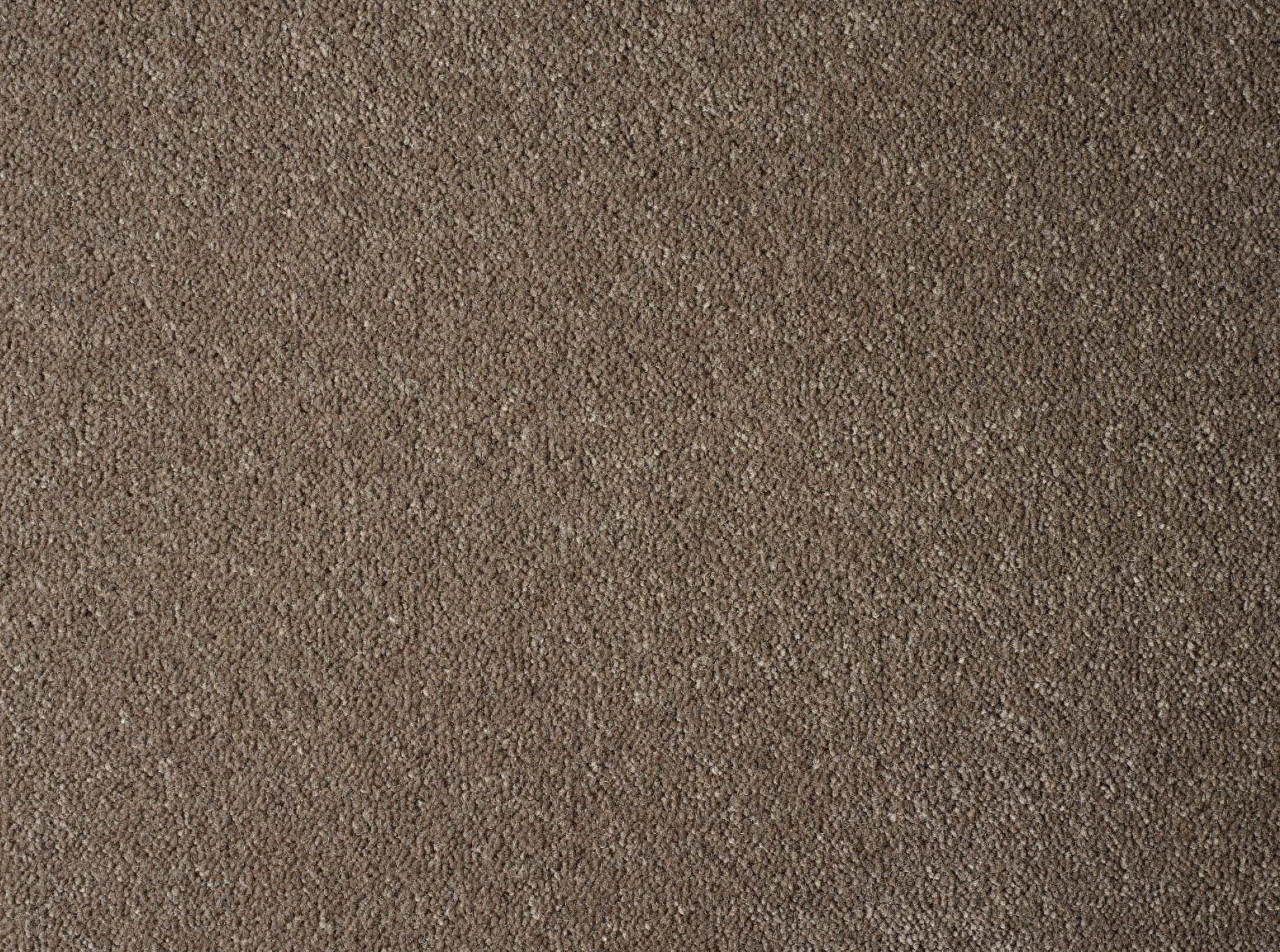 Platinum-Plush-34-Porcini-1