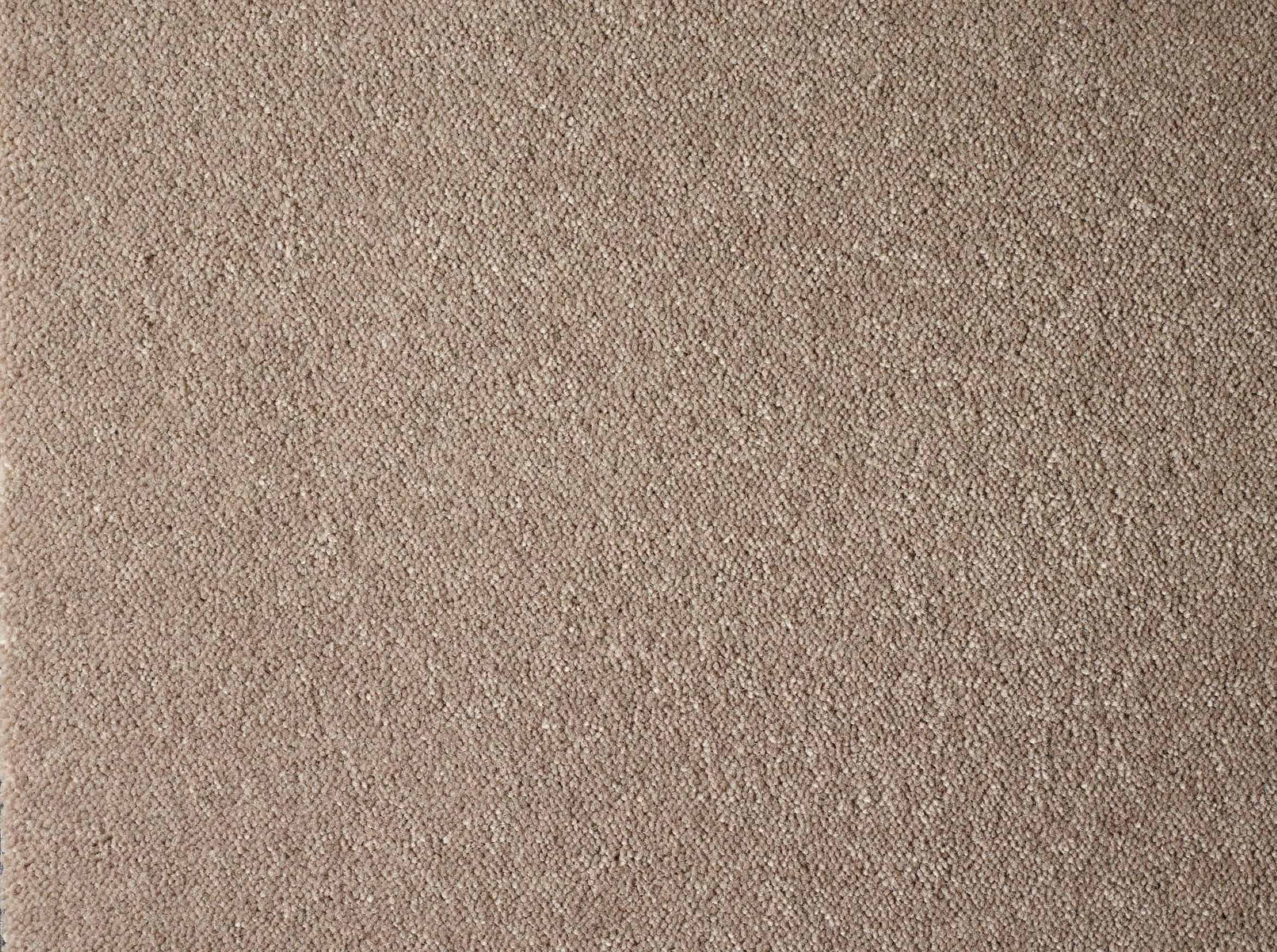 Rendell-Plush-27-Rocky-Coast (1)