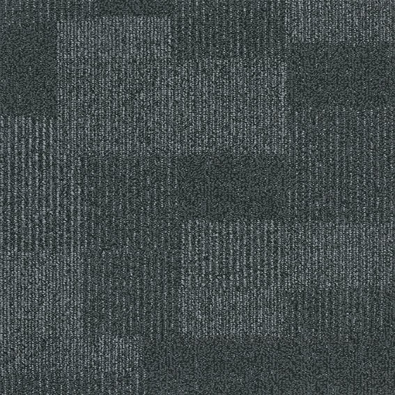Shadow-03-Fossil