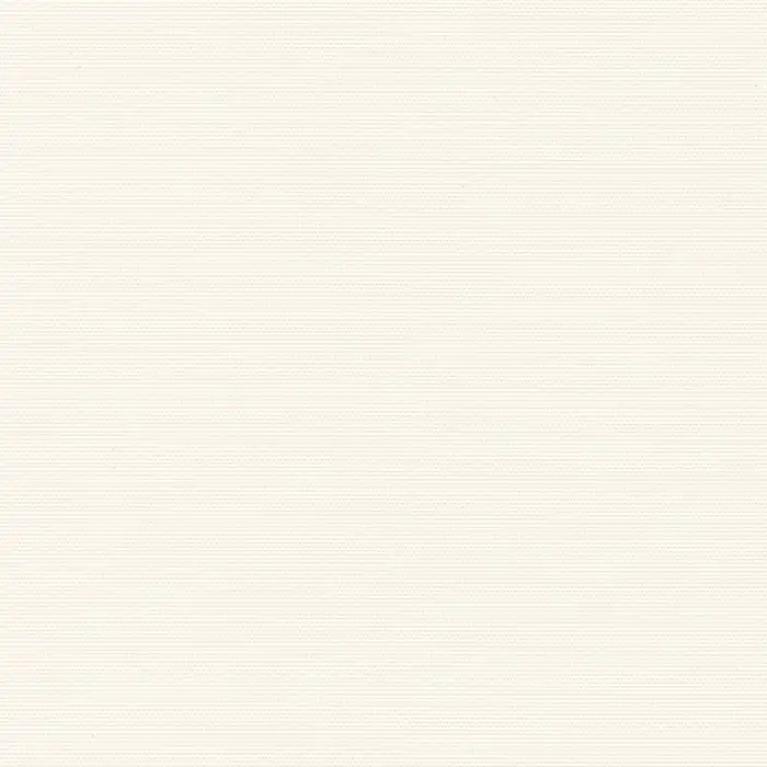 Shell-2
