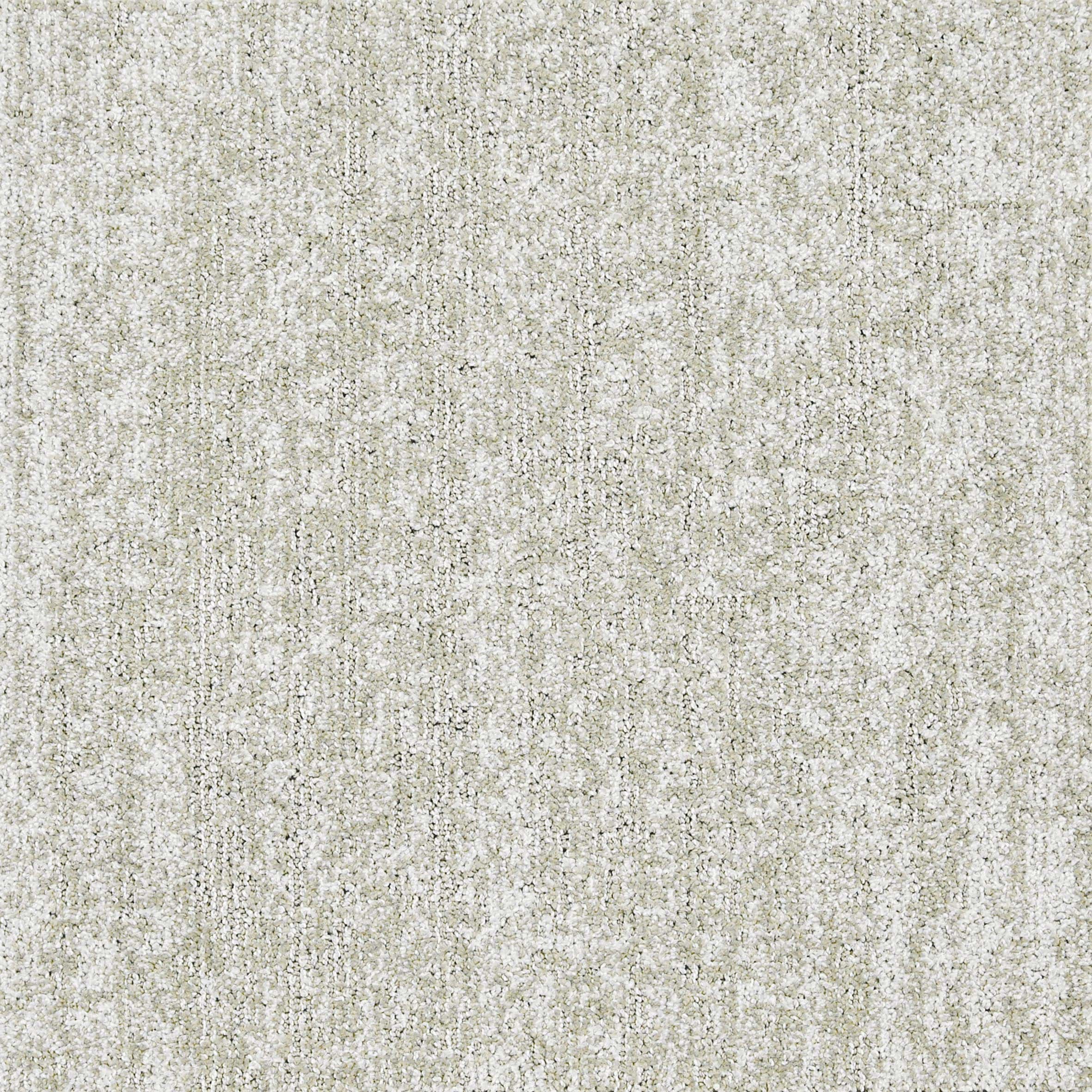 Torrent-04-Sand-Dollar