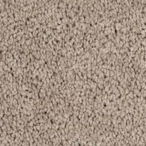 flat-web - 2025-09-19T230155.337