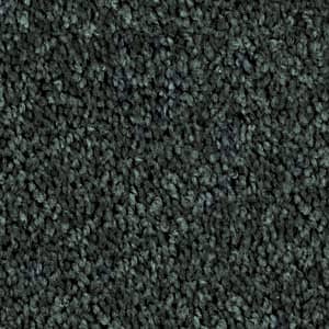 flat-web - 2025-09-19T230554.853