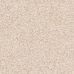 flat-web - 2025-09-19T235402.596