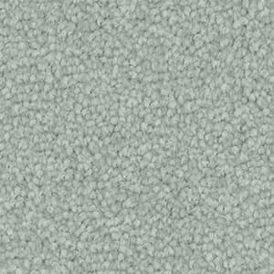 flat-web - 2025-09-19T235908.069