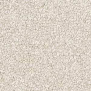 flat-web - 2025-09-20T000624.746
