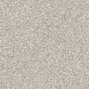 flat-web - 2025-09-20T000822.243