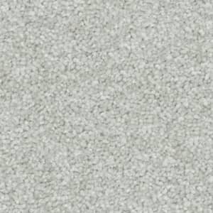 flat-web - 2025-09-20T002223.931