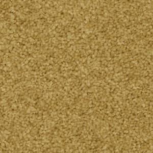 flat-web - 2025-09-20T002437.130