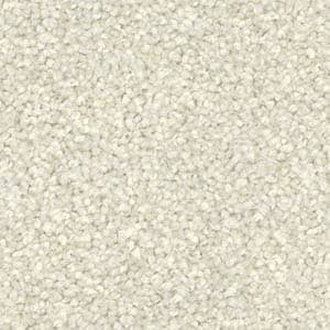 flat-web - 2025-09-20T072047.375
