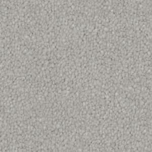 flat-web - 2025-09-20T074353.257
